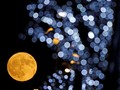 Saturnus dan Bulan Stroberi akan Menghiasi Langit Malam Ini