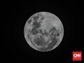 Donald Trump Minta NASA Hentikan Misi ke Bulan
