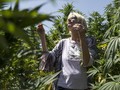 6 Hal yang Perlu Diketahui Soal Wisata Ganja di Belanda