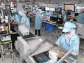 Menguak Perusahaan yang Sesungguhnya Rajai Pasar HP Indonesia