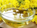 Studi: Minyak Kanola Diklaim Percepat Munculnya Alzheimer