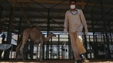 Petugas kesehatan yang berjaga juga memiliki keahlian yang mumpuni, sehingga berbagai penyakit yang biasa dialami unta--seperti masalah pada kaki, bisa lekas diobat.