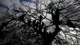 Hamas adalah kata bahasa Arab yang berarti ketekunan sekaligus singkatan dari Harakat al-Muqawwamatul Islamiyyah yang secara harfiah berarti gerakan pertahanan Islam. (REUTERS/Mohammed Salem)