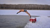 Seorang perenang musim dingin melompat ke sungai Songhua yang dikelilingi es di kota Songyuan, di Provinsi Jilin, China. (REUTERS/Stringer)