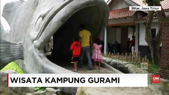 Video Berwisata Di Kampung Ikan Gurami