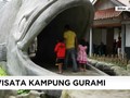 VIDEO: Berwisata di Kampung Ikan Gurami