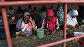 Pemerintah Ingatkan Perusahaan Tak Pelit Kasih Cuti Haid