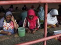 Pemerintah Ingatkan Perusahaan Tak Pelit Kasih Cuti Haid