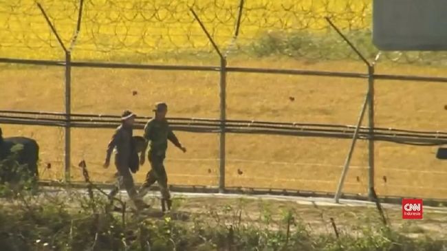 Tentara Korut dan Korsel Bersihkan Ranjau Darat di Perbatasan