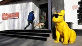 Saat ini semakin banyak penduduk China yang memiliki binatang peliharaan. Yang paling populer ialah kucing dan anjing.