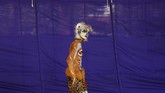 Seorang seniman dilukis wajahnya sehingga terlihat seperti harimau yang sedang berjalan menuju sebuah panggung dalam acara kesenian di Bengaluru, India. (Reuters/Abhishek N. Chinnappa)