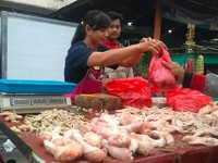Harga Ayam Bakal Jadi Biang Kerok Inflasi Bulan Ini