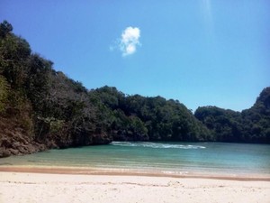 Kronologi Mahasiswa IPB Hilang Saat Penelitian di Pulau Sempu