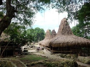 Mengenal Tradisi Cium Hidung dan Keunikan Kampung Adat Prai Ijing NTT