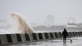 Seorang pria berjalan-jalan dengan anjingnya sementara ombak besar menerpa pembatas di tepi pantai New Brighton, Inggris. Saat itu Inggris diterpa badai Eleanor yang disertai angin berkecepatan lebih dari 100 kilometer per jam, hujan deras, kilat dan guntur. (AFP PHOTO / Paul ELLIS)
