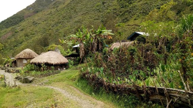 Menyambangi Kampung Adat di Wamena