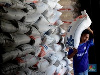 Data Beras Kacau! Surplus di Atas Kertas, Defisit di Lapangan