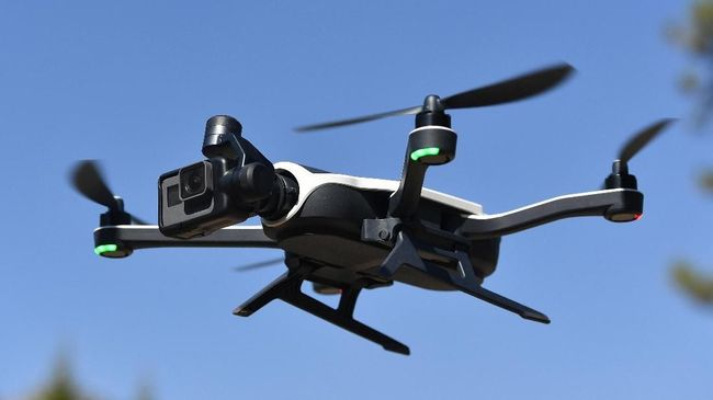 Gagal Paham Soal Kamera Drone Bisa Kacaukan Kehidupan Hewan