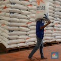 Stok Beras RI Disebut Cuma Kuat 69 Hari, di DKI Malah 15 Hari