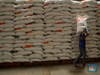 Bulog: Stok Beras 950.000 ton Cukup Hingga Panen Raya