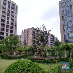 Bisnis Apartemen di RI Lesu-Pengembang Susah Jualan, Ada Apa?
