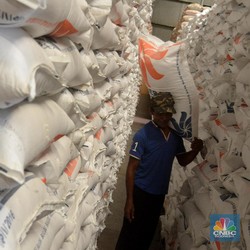 Jejak Impor Beras di Indonesia