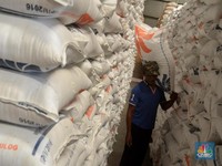 Rencana Impor Tak Sesuai, Mungkinkah Harga Beras Turun?