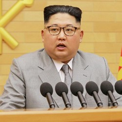 Korea Utara Larang Warga Pelihara Anjing, Alasannya Mengejutkan
