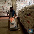 Harga Beras Tinggi di Awal Tahun Baru