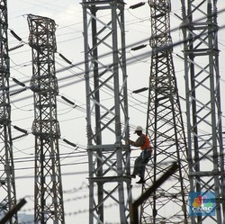 Ada Aturan Harga, Bisakah PLN Beli Batu Bara US$ 40/ton?