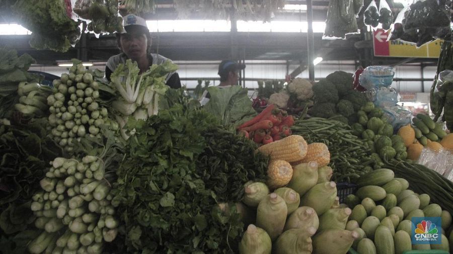 Harga jagung di beberapa daerah merosot hingga di bawah harga acuan pembelian yang ditetapkan pemerintah