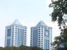 Meranti Simpan 'Harta Karun' Bejibun, Tapi Kok Masih Miskin?
