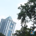 Utang Pemerintah Capai Rp 4.498 T di Januari, Naik Rp 540 T