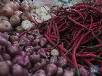 Cabai Bisa Masuk Program Asuransi Usaha Tani