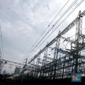 Aturan DMO Terbit, PLN Bisa Beli Batu Bara di Harga US$ 40