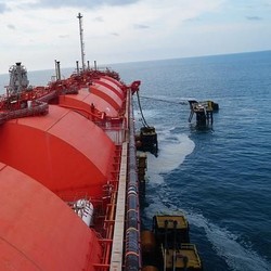 RI Punya 20 'Gudang Penimbun' Emisi Karbon, Total 577 Giga Ton