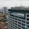 Ikan Dilindungi Dipantau Ketat, Bisnisnya Gimana?