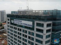 Ikan Dilindungi Dipantau Ketat, Bisnisnya Gimana?