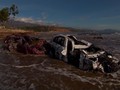 VIDEO: California Porak Poranda Disapu Longsor