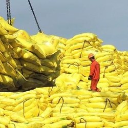 Ini Bukti Indonesia Masih Bergantung Pada China