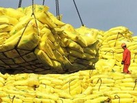 Ini Bukti Indonesia Masih Bergantung Pada China