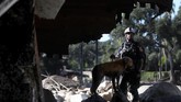 Kepolisian menyatakan setidaknya 300 orang terperangkap di daerah tebing dan petugas sedang berupaya menyelamatkan mereka menggunakan helikopter. (Justin Sullivan/Getty Images/AFP)