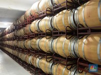 Produksi Anggur Merosot, Harga Wine Global Naik Tinggi
