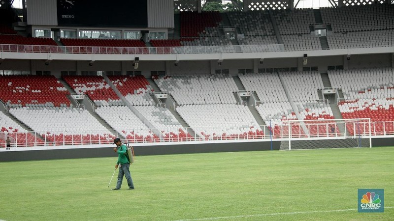 Stadion Utama Gelora Bung Karno gunakan rumput jenis zoysia matrella, yang merupakan rumput kelas 1 standar FIFA