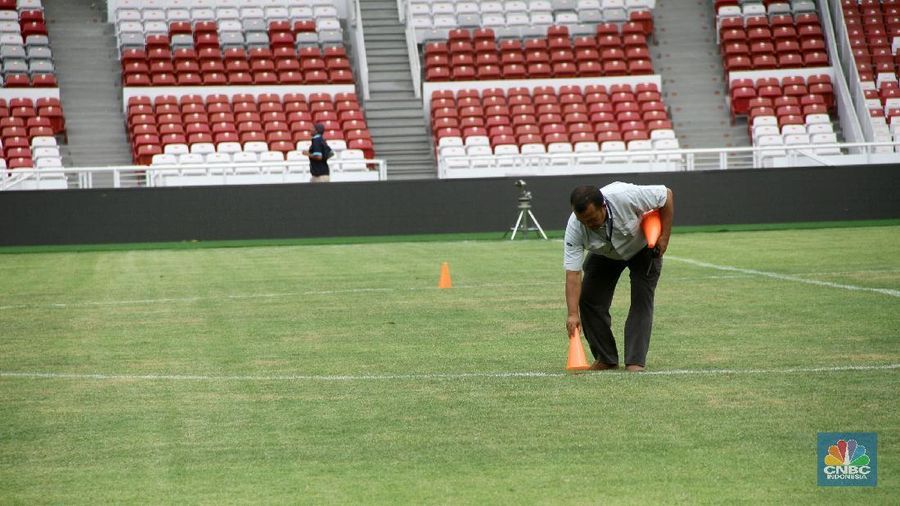 Stadion Utama Gelora Bung Karno gunakan rumput jenis zoysia matrella, yang merupakan rumput kelas 1 standar FIFA