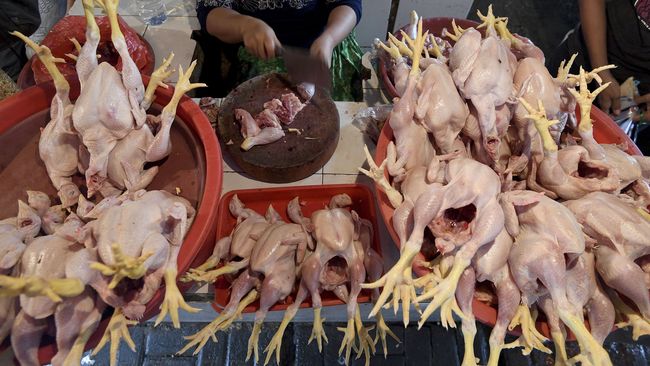 Harga Ayam Turun, BPS Catat September Deflasi 0,18 Persen