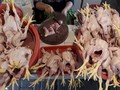 Manut WTO, RI Terbitkan Aturan Baru Soal Impor Ayam