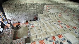 Jokowi Instruksikan Darmin Damaikan Enggar dan Buwas