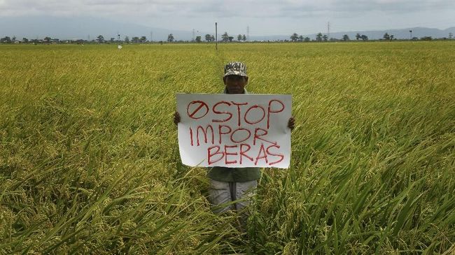 Pembatasan Impor Sektor Pangan Ancam Suplai dan Harga