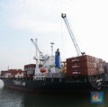 Tekor Habis Sama China, RI 'Menang Banyak' Dagang dengan AS